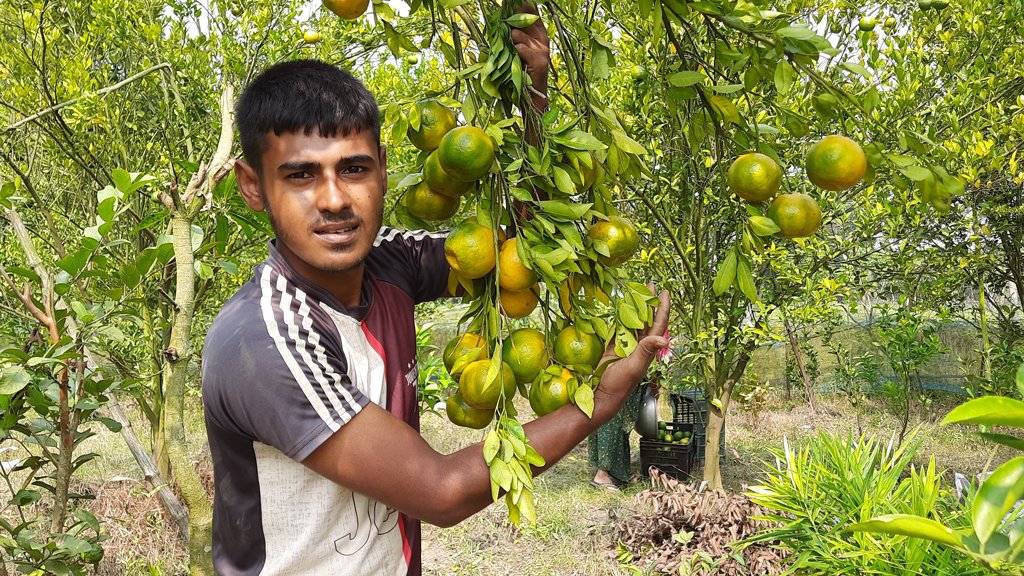 দিনের ছবি (১৪ অক্টোবর, ২০২৫)