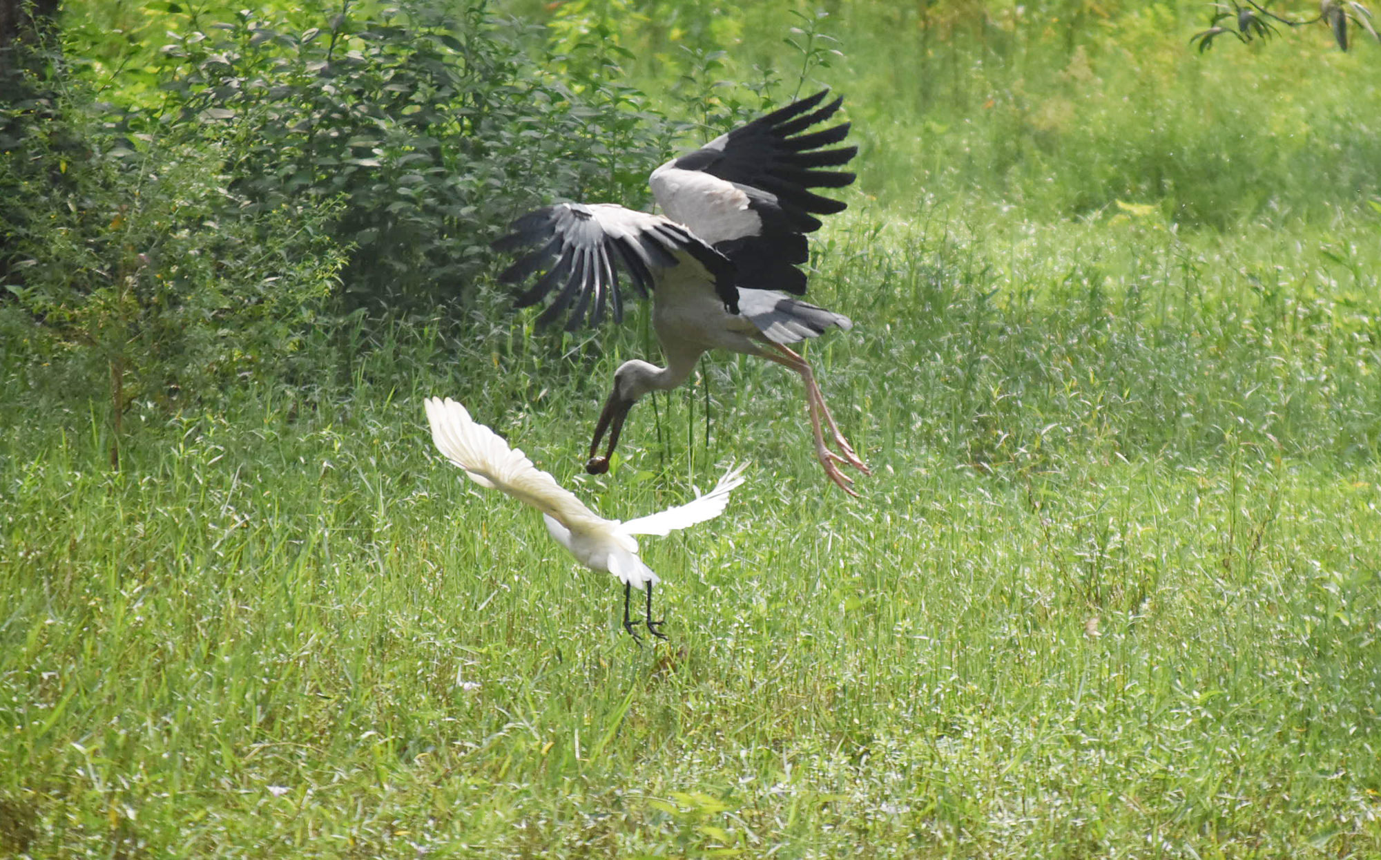 দিনের ছবি (১৪ অক্টোবর, ২০২৫)